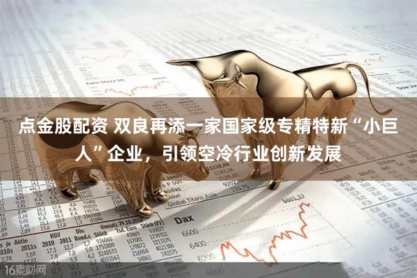 点金股配资 双良再添一家国家级专精特新“小巨人”企业，引领空冷行业创新发展